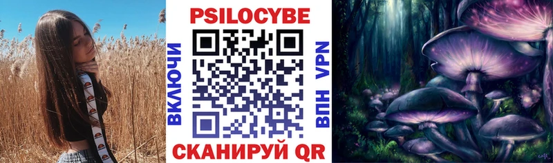 OMG ссылки  Бирюч  Галлюциногенные грибы Cubensis 